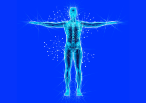 Reconnexion au corps Fascias forme du corps Rolfing Bordeaux